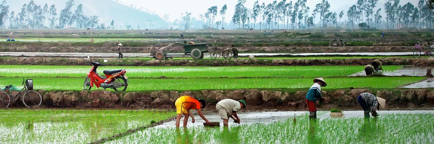 Perluasan Lahan Pertanian pada Zaman Kuno - Historia