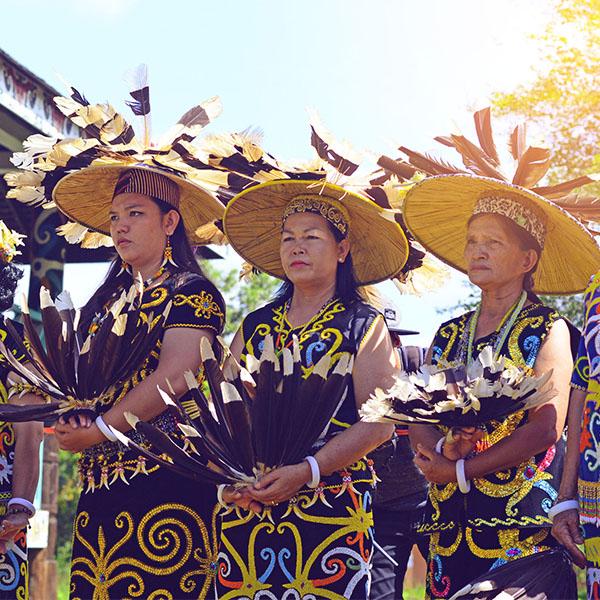  Orang Dayak  Menghadapi Wabah Penyakit Historia